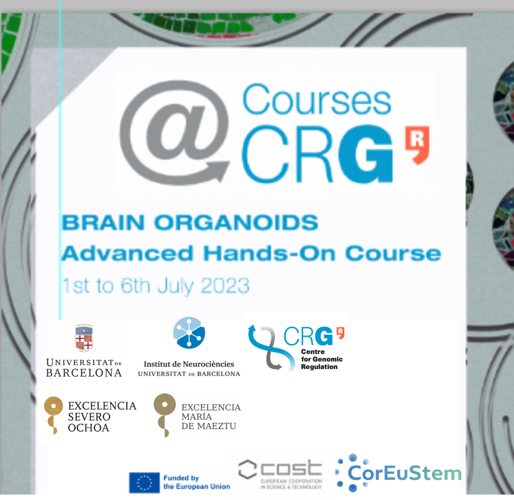 BRAIN ORGANOIDS Advanced Hands-on Course - CorEuStem